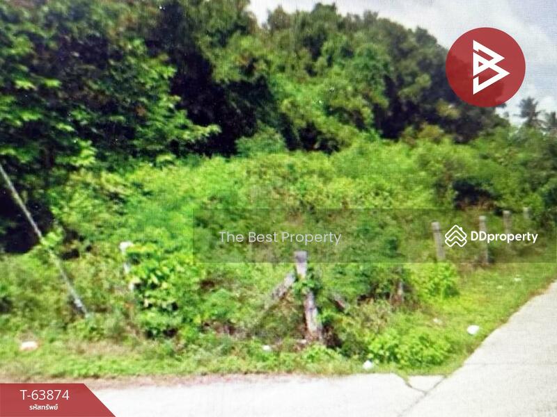 ขาย - ที่ดินสทิงพระ สงขลา, สงขลา