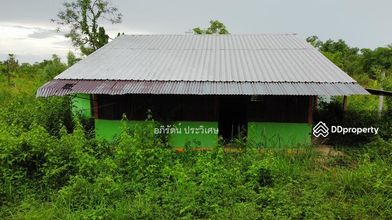 ขาย - หนองคาย, หนองคาย