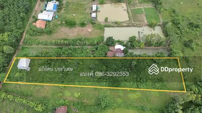 ขาย - หนองคาย, หนองคาย