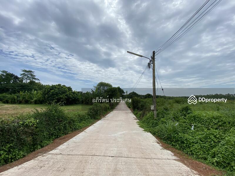 ขาย - หนองคาย, หนองคาย