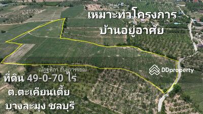ขาย - ตำบลตะเคียนเตี้ย อำเภอบางละมุง ชลบุรี, ชลบุรี