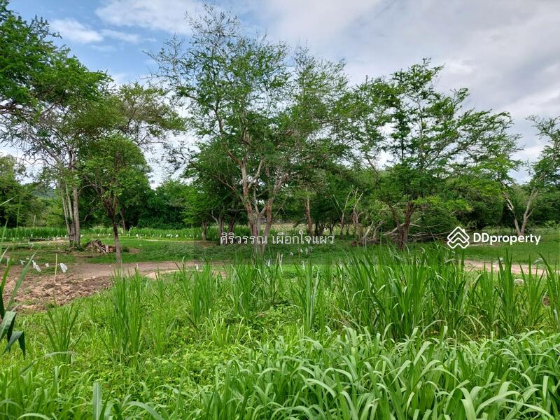 For Sale - สระบุรี, Saraburi