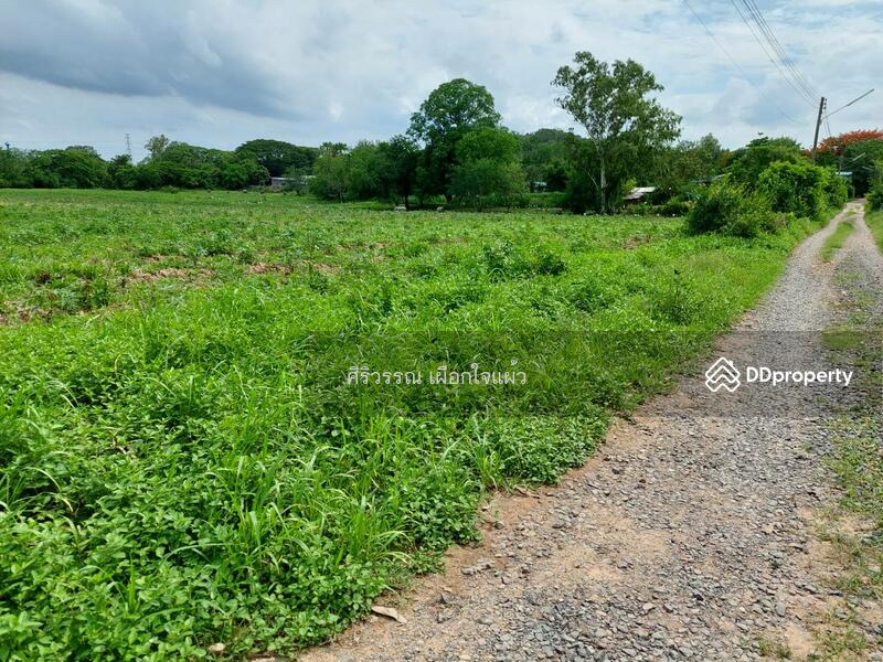 For Sale - สระบุรี, Saraburi