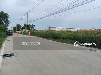 ขาย - ที่ดิน 6 ไร่ ซ.บงกช 33 ต.คลองสอง อ.คลองหลวง ปทุมธานี, ปทุมธานี
