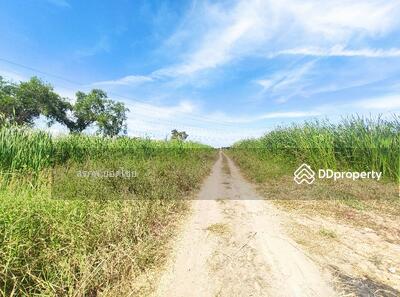 ขาย - ขาย ที่ดินเปล่า 1 ไร่ 3 งาน ซอย เลียบวารี 19 หนองจอก กรุงเทพ, กรุงเทพ