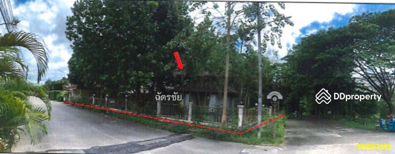 ขาย - หมู่บ้านศรีตรัง, ตรัง