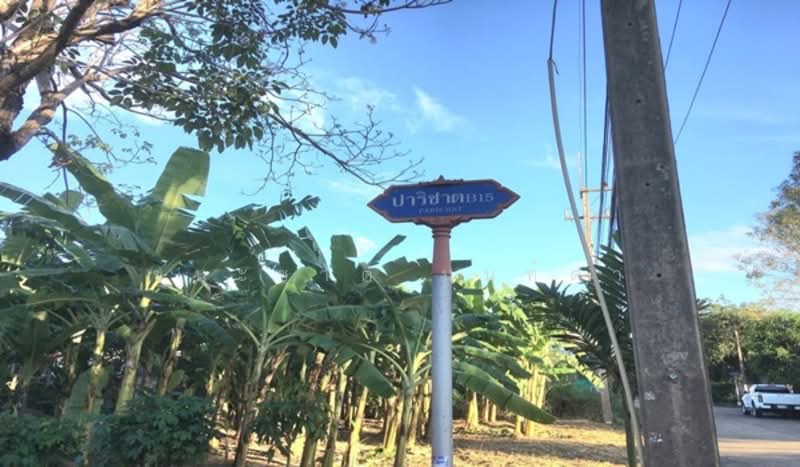 ที่ดินเปล่า หมู่บ้านปาริชาต 345 (โซน B ซอย 15) เนื้อที่ 81 ตร.ว อำเภอเมืองปทุมธานี ปทุมธานี, ปทุมธานี, หมายเลข 345, บางคูวัด, เมืองปทุมธานี, ปทุมธานี, 324 ตร.ม., ที่ดิน ขาย, โดย ชนะชาติ นนท์ตา, 10933588 - DDproperty.com