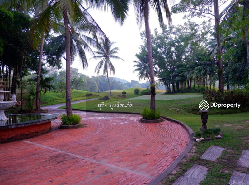 ที่ดินในสนามกอล์ฟ Southern Hills Golf & Country Club, Songkhla, กาญจนวนิช, Ban Phru, Hat Yai, Songkhla, , 1,480 sqm, Land For Sale, by สุรีย์ ชุนรัตนชัย, 10934356 - DDproperty.com