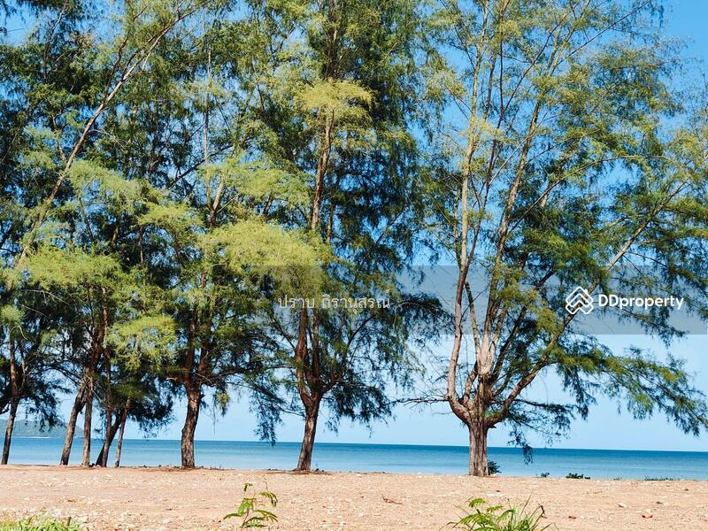 For Sale - Pathio District, Chumphon Province., Chumphon