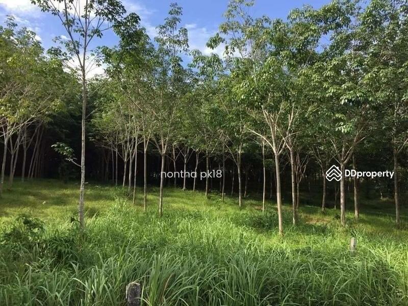 ขาย - Laguna Park : ลากูน่า พาร์ค, ภูเก็ต