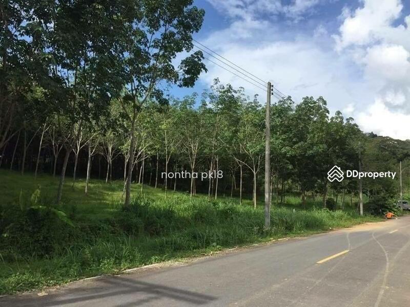 ขาย - Laguna Park : ลากูน่า พาร์ค, ภูเก็ต