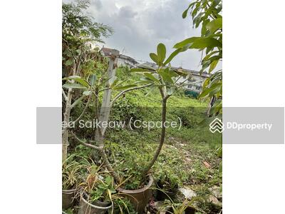 ขาย - ขายที่ดินเปล่าถนนบางนาตราด37, กรุงเทพ