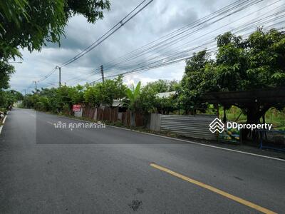 ขาย - ขายที่ดิน 91 ไร่ รังสิต คลอง10, ปทุมธานี