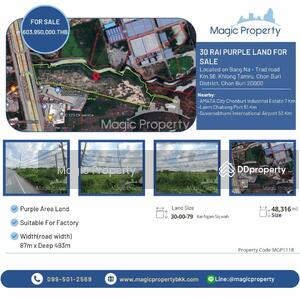 ขาย - ที่ดิน 30 ไร่ พื้นที่สีม่วง บนถนนบางนา - ตราด, ชลบุรี