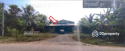 ขาย - โกดัง ติดถนนนสายบ้านใต้- หนองไทร, ตรัง