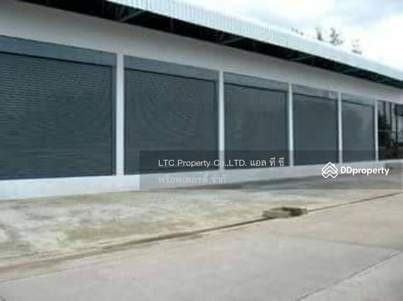 For Rent - The Avenue Venice เอแบคบางนา, Samut Prakan