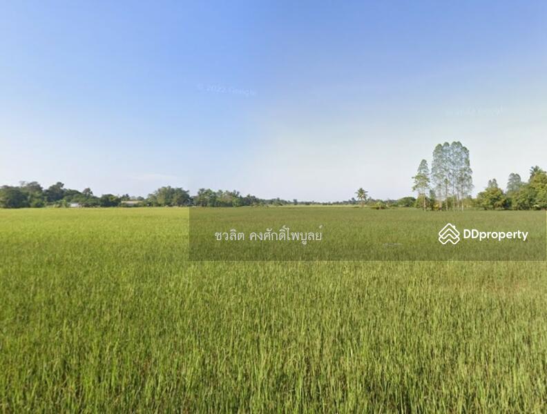 land for sale khonkaen muang, Khon Kaen, Samran, Muang Khon Kaen, Khon