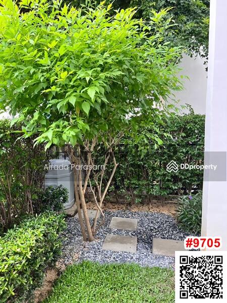 Modi Villa Ladkrabang-Suvarnabhumi, Chachoengsao, Luang Phaeng Road, Khlong Luang Phaeng, Muang Chachoengsao, Chachoengsao, 3 Bedrooms, 152 sqm, Townhouse For Rent, by Airada Parasarn, 10945322 - DDproperty.com