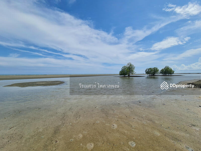 ขาย ที่ดิน ติดชายหาดเจ้าหลาว จันทบุรี 12 ไร่ บรรยากาศดีมาก เหมาะทำรีสอร์ทริมทะเล