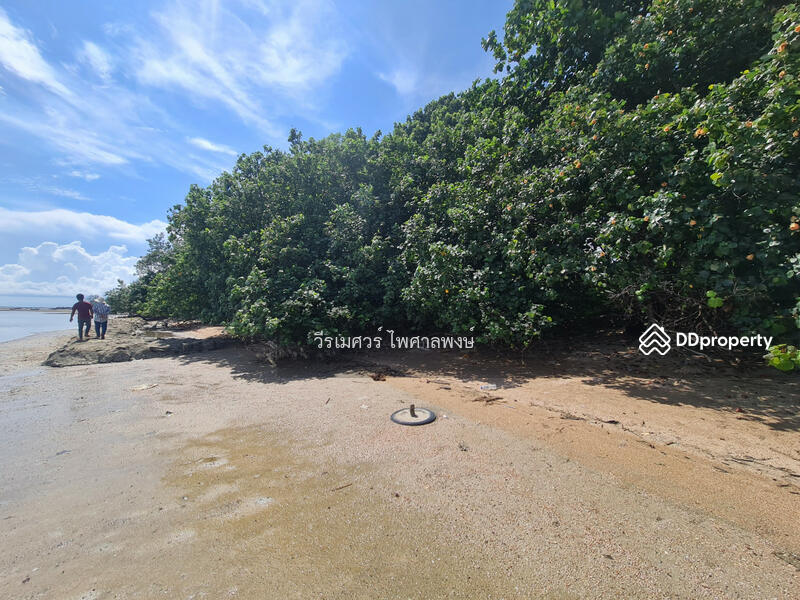 ขาย ที่ดิน ติดชายหาดเจ้าหลาว จันทบุรี 12 ไร่ บรรยากาศดีมาก เหมาะทำรีสอร์ทริมทะเล