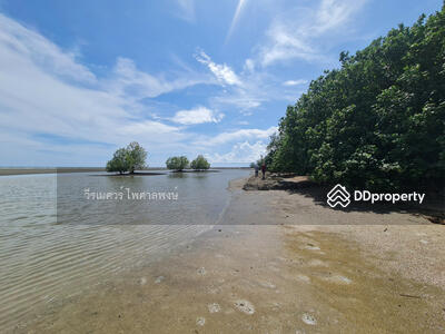 ขาย - ขาย ที่ดิน ติดชายหาดเจ้าหลาว จันทบุรี 12 ไร่ บรรยากาศดีมาก เหมาะทำรีสอร์ทริมทะเล, จันทบุรี