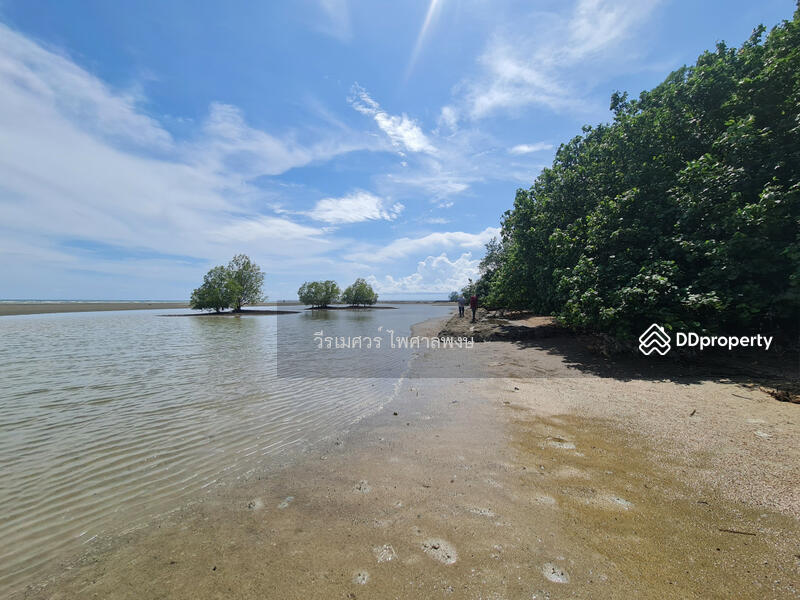 ขาย ที่ดิน ติดชายหาดเจ้าหลาว จันทบุรี 12 ไร่ บรรยากาศดีมาก เหมาะทำรีสอร์ทริมทะเล