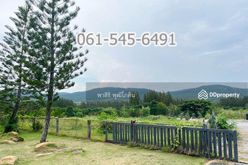 ที่ดิน 73 ไร่ ปากช่อง โคราช เห็นเขายายเที่ยง สวย คุ้มค่ามาก, นครราชสีมา, คลองม่วง, ปากช่อง, นครราชสีมา, 117,520 ตร.ม., ที่ดิน ขาย, โดย คุณ ปียานุช, 10946499 - DDproperty.com