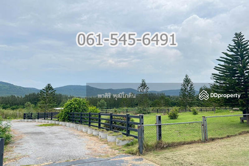 ที่ดิน 73 ไร่ ปากช่อง โคราช เห็นเขายายเที่ยง สวย คุ้มค่ามาก, Nakhon Ratchasima, Khlong Muang, Pak Chong, Nakhon Ratchasima, , 117,520 sqm, Land For Sale, by คุณ ปียานุช, 10946499 - DDproperty.com