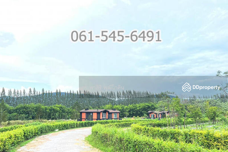 ที่ดิน 73 ไร่ ปากช่อง โคราช เห็นเขายายเที่ยง สวย คุ้มค่ามาก, นครราชสีมา, คลองม่วง, ปากช่อง, นครราชสีมา, 117,520 ตร.ม., ที่ดิน ขาย, โดย คุณ ปียานุช, 10946499 - DDproperty.com