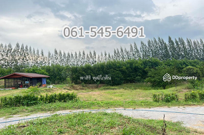 ที่ดิน 73 ไร่ ปากช่อง โคราช เห็นเขายายเที่ยง สวย คุ้มค่ามาก, นครราชสีมา, คลองม่วง, ปากช่อง, นครราชสีมา, 117,520 ตร.ม., ที่ดิน ขาย, โดย คุณ ปียานุช, 10946499 - DDproperty.com