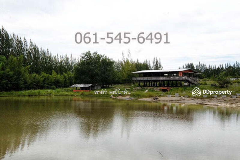 ที่ดิน 73 ไร่ ปากช่อง โคราช เห็นเขายายเที่ยง สวย คุ้มค่ามาก, นครราชสีมา, คลองม่วง, ปากช่อง, นครราชสีมา, 117,520 ตร.ม., ที่ดิน ขาย, โดย คุณ ปียานุช, 10946499 - DDproperty.com