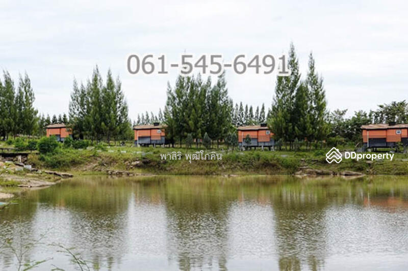 ที่ดิน 73 ไร่ ปากช่อง โคราช เห็นเขายายเที่ยง สวย คุ้มค่ามาก, นครราชสีมา, คลองม่วง, ปากช่อง, นครราชสีมา, 117,520 ตร.ม., ที่ดิน ขาย, โดย คุณ ปียานุช, 10946499 - DDproperty.com