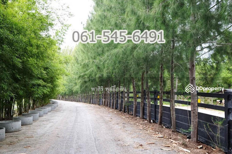 ที่ดิน 73 ไร่ ปากช่อง โคราช เห็นเขายายเที่ยง สวย คุ้มค่ามาก, Nakhon Ratchasima, Khlong Muang, Pak Chong, Nakhon Ratchasima, , 117,520 sqm, Land For Sale, by คุณ ปียานุช, 10946499 - DDproperty.com