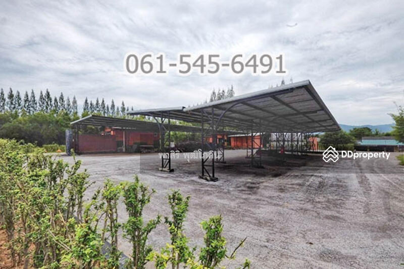 ที่ดิน 73 ไร่ ปากช่อง โคราช เห็นเขายายเที่ยง สวย คุ้มค่ามาก, Nakhon Ratchasima, Khlong Muang, Pak Chong, Nakhon Ratchasima, , 117,520 sqm, Land For Sale, by คุณ ปียานุช, 10946499 - DDproperty.com