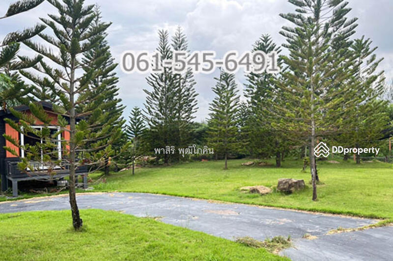 ที่ดิน 73 ไร่ ปากช่อง โคราช เห็นเขายายเที่ยง สวย คุ้มค่ามาก, Nakhon Ratchasima, Khlong Muang, Pak Chong, Nakhon Ratchasima, , 117,520 sqm, Land For Sale, by คุณ ปียานุช, 10946499 - DDproperty.com