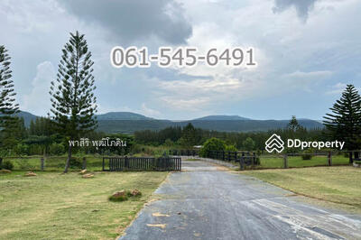 ขาย - ที่ดิน 73 ไร่ ปากช่อง โคราช เห็นเขายายเที่ยง สวย คุ้มค่ามาก, นครราชสีมา