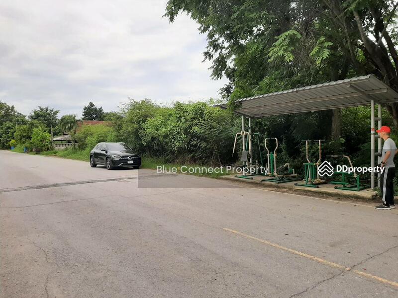 ขาย - ขายที่ดินเปล่า แปลงมุม เยื้องวัดศรีษะทอง นครปฐม, นครปฐม