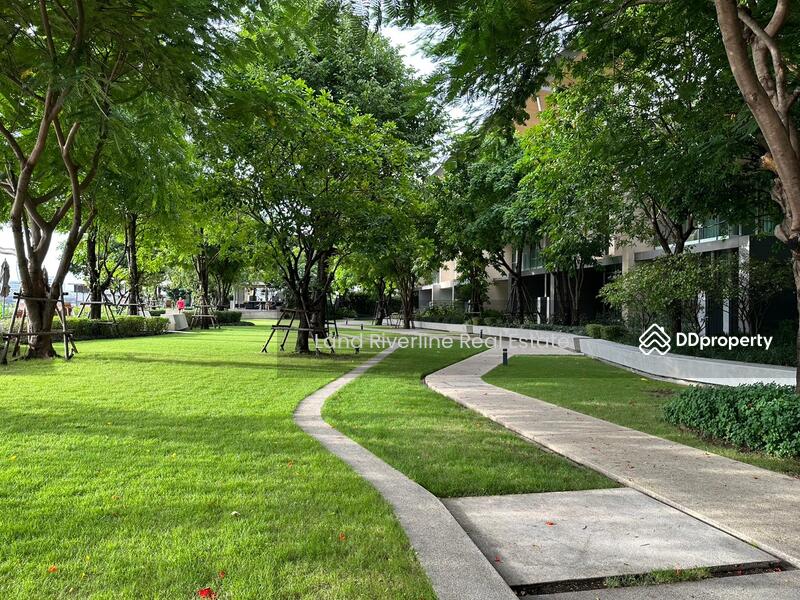 333 Riverside, Bangkok, 333 Pracharat Sai 2, Bang Sue, Bang Sue, Bangkok, 1 Bedroom, 46 sqm, Condo For Sale, by Land Riverline Real Estate, 10947930 - DDproperty.com