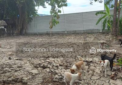 ขาย - ขายที่ดิน เพชรเกษม 88/1 ที่ดินกว้าง ทำเลดี ใกล้โชว์รูม BMW, กรุงเทพ