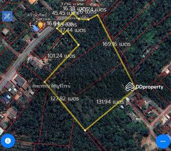 ขาย - ขายที่ดิน พร้อมสวนมะพร้าว แม่กลอง สมุทรสงคราม ขนาด 14 ไร่ 87 ตร.ว. ราคาขาย 35,000,000 บาท พร้อมเก็บ!, สมุทรสงคราม