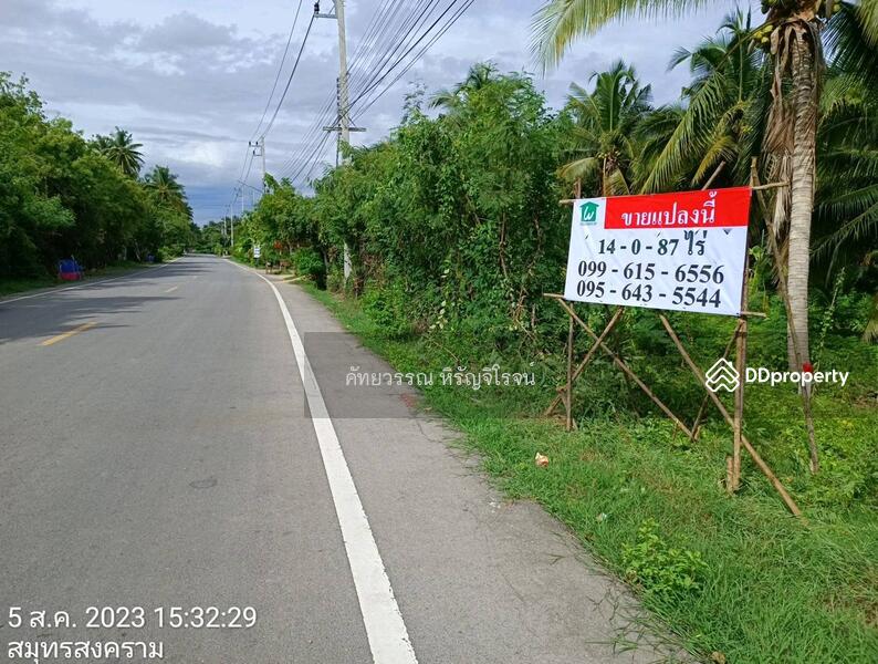 For Sale - Land for sale with coconut tree in Sumutson gkram , Land size 14 Rai 87 Sq.w. Sale 35,000,000฿, Samut Songkhram