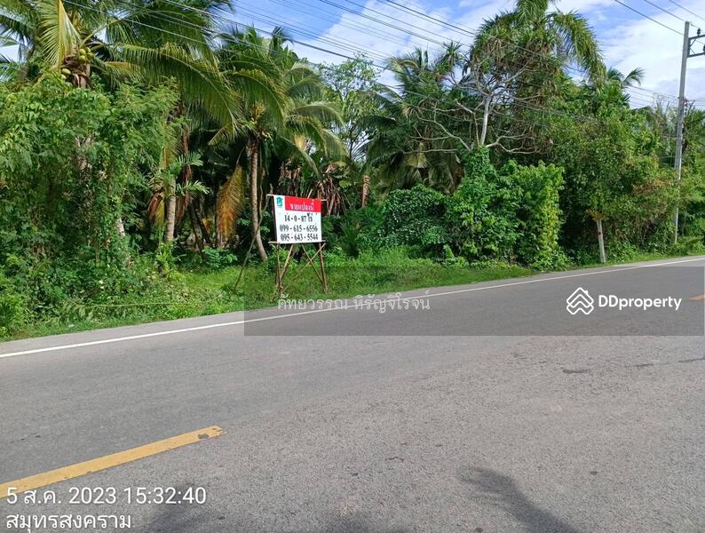 For Sale - Land for sale with coconut tree in Sumutson gkram , Land size 14 Rai 87 Sq.w. Sale 35,000,000฿, Samut Songkhram