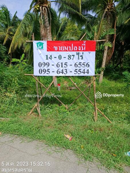 For Sale - Land for sale with coconut tree in Sumutson gkram , Land size 14 Rai 87 Sq.w. Sale 35,000,000฿, Samut Songkhram