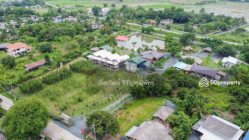 For Sale - HomeStay Business with Land 7 Rai for Sale in Doi Saket, Chiang Mai