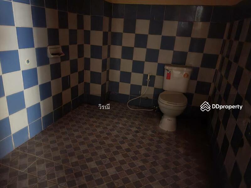 เช่า อาคารพาณิชย์ 2 คูหา 4 ชั้น, Nakhon Ratchasima, Cho Ho, Muang Nakhon Ratchasima, Nakhon Ratchasima, , 380 sqm, Shophouse For Rent, by วิรณี, 10950621 - DDproperty.com