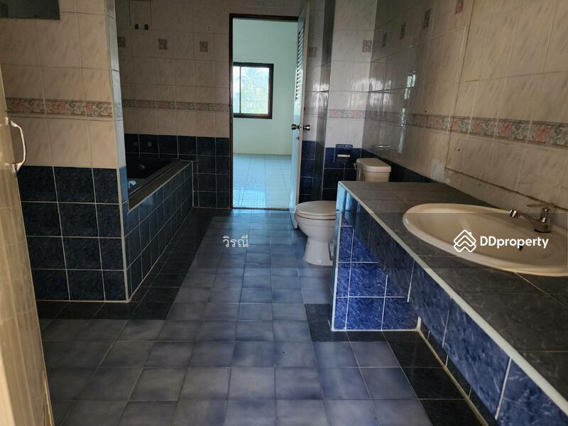 เช่า อาคารพาณิชย์ 2 คูหา 4 ชั้น, Nakhon Ratchasima, Cho Ho, Muang Nakhon Ratchasima, Nakhon Ratchasima, , 380 sqm, Shophouse For Rent, by วิรณี, 10950621 - DDproperty.com