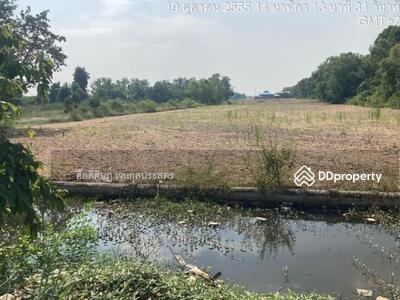 ขาย - ขายด่วน ที่ดินสวยคลองสี่ คลองหลวง 2 ไร่ 1 งาน (ทางหลวงพิเศษหมายเลข9) (ซอยตะวันออก 16) ปทุมธานี, ปทุมธานี