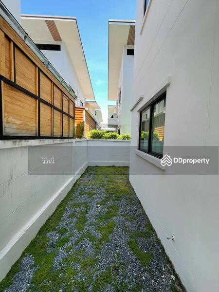 เช่าบ้านเดี่ยว 2 ชั้น ใกล้ the mall, Nakhon Ratchasima, Nai Muang, Muang Nakhon Ratchasima, Nakhon Ratchasima, 3 Bedrooms, 180 sqm, Single Detached House For Rent, by วิรณี, 10952502 - DDproperty.com
