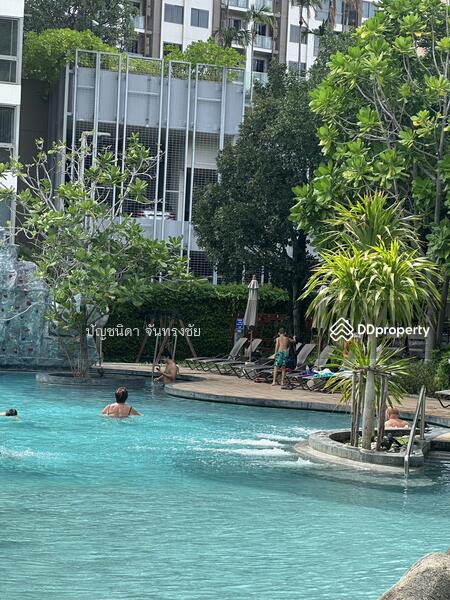 Unixx South Pattaya, Chon Buri (Pattaya), Village No. 12 163, Nong Pru, Bang Lamung (Pattaya), Chon Buri (Pattaya), Studio, 26 sqm, Condo For Sale, by ปัญชนิดา จันทรงชัย, 10953726 - DDproperty.com