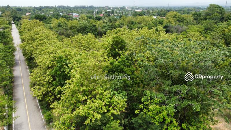 For Sale - Land Chom Thong Chiang Mai, Chiang Mai